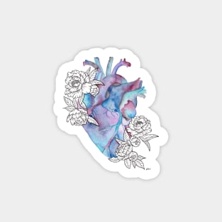 Anatomical Heart Sticker